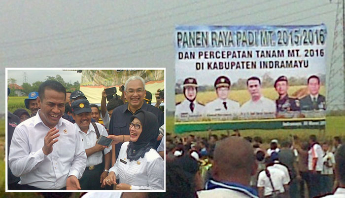 Negara Hadir di Tengah Petani, Luas Tanam Padi Indramayu Lampaui Target